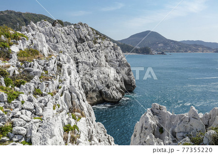 和歌山　白崎海洋公園　石灰岩 77355220