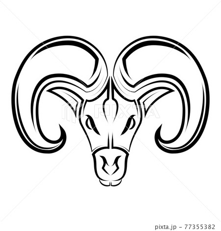 Black and white line art of Barbary sheep head. Good use for symbol, mascot, icon, avatar, tattoo, T Shirt design, logo or any design you want. 77355382