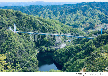 新緑の竜神大吊橋　赤岩展望台からの展望 77356150