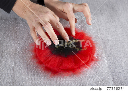 Women's hands lay out the wool in the process of creating a product 77356274