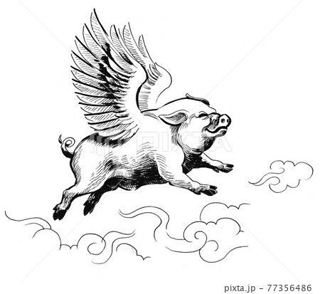 Flying pig. Ink black and white drawing 77356486