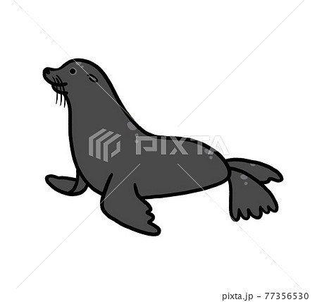 Fur Seal Illustration Stock Illustration