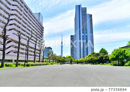 東白髭公園よりリバーサイド隅田方面を望む(東京都墨田区)【2021.4】 77356694