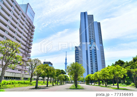 東白髭公園よりリバーサイド隅田方面を望む(東京都墨田区)【2021.4】 77356695