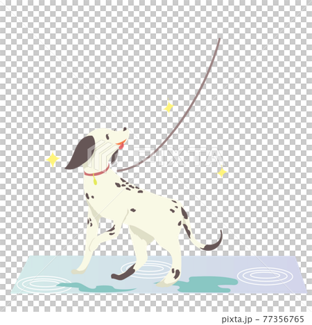 下雨天遛狗 下雨天遛狗 77356765