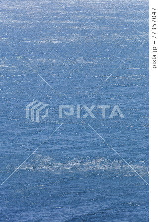 和歌山の海 77357047