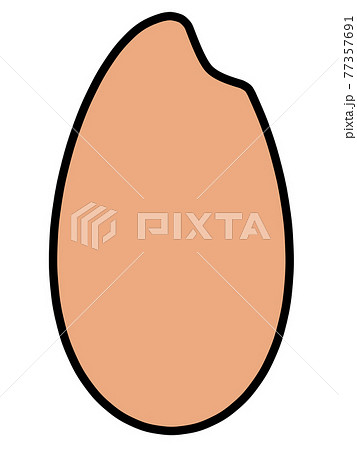 玄米のお米粒のイラスト素材