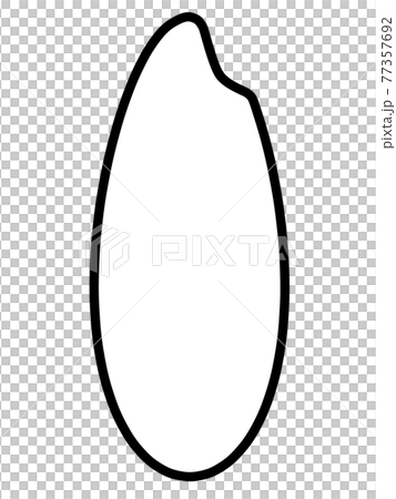 タイ米のお米粒のイラスト素材