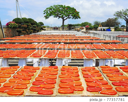 Dried mullet roe Dried mullet roe 77357781