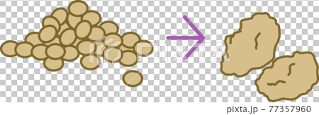 大豆和大豆肉的插圖素材 77357960