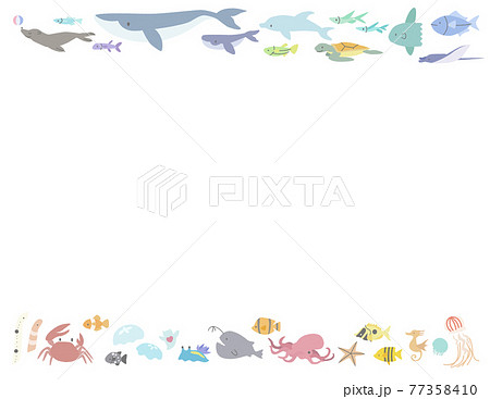 海の動物のかわいいフレーム 白背景ー横長 のイラスト素材