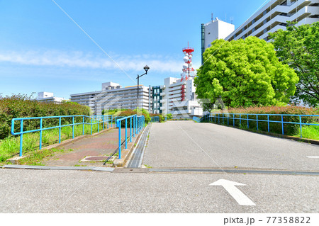 東白髭公園(東京都墨田区)【2021.4】 東白髭公園(東京都墨田区)【2021.4】 77358822