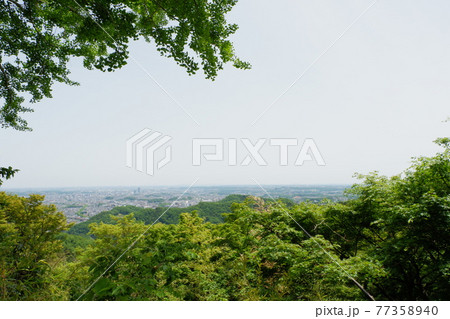 金比羅台園地。高尾山（たかおさん）は、東京都八王子市にある標高599mの山。修験道の霊山 77358940