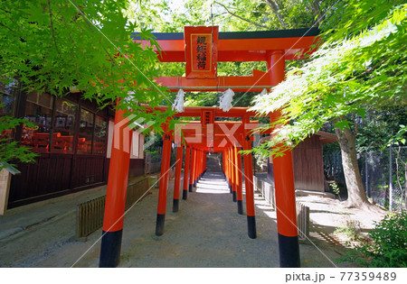小倉南区蒲生八幡神社境内の規矩稲荷神社 小倉南区蒲生八幡神社境内の規矩稲荷神社 77359489