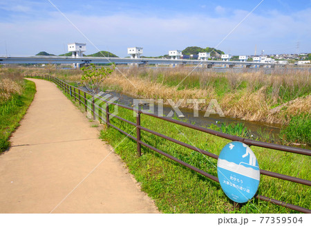 福岡県遠賀川河口にある魚道公園遊歩道 福岡県遠賀川河口にある魚道公園遊歩道 77359504