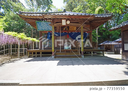 福岡県北九州市八幡西区の聖福寺本堂と藤棚 77359550