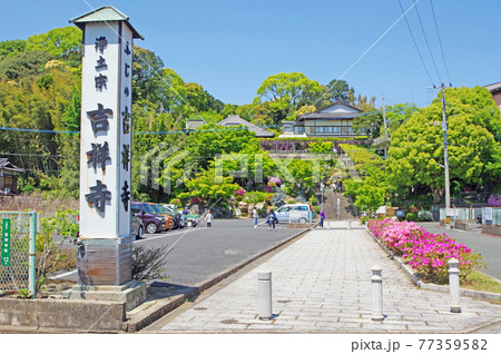 北九州市八幡西区藤の名所吉祥寺 77359582