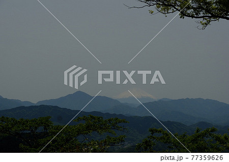 高尾山からの富士山。高尾山（たかおさん）は、東京都八王子市にある標高599mの山。修験道の霊山 77359626