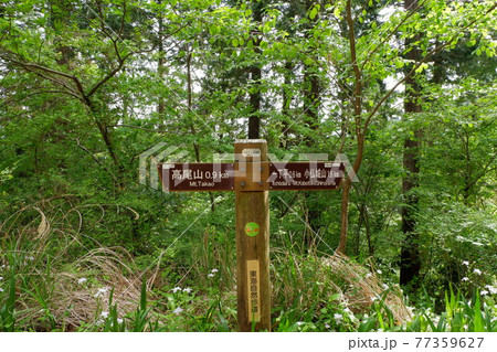 看板。高尾山（たかおさん）は、東京都八王子市にある標高599mの山。修験道の霊山 77359627