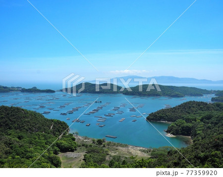 初夏の虫明湾の眺望 77359920