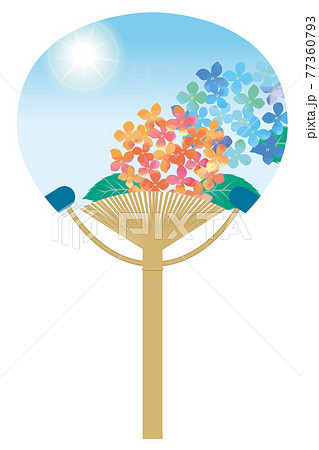 暑中見舞い 団扇に描かれた夏のイメージの紫陽花のイラストのイラスト素材