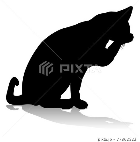 Silhouette Cat Pet Animal Silhouette Cat Pet Animal 77362522