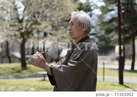 俳句を詠む、着物を着たシニア男性と満開の桜 77363002