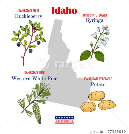 Idaho. Set of USA official state symbols Idaho. Set of USA official state symbols 77363019