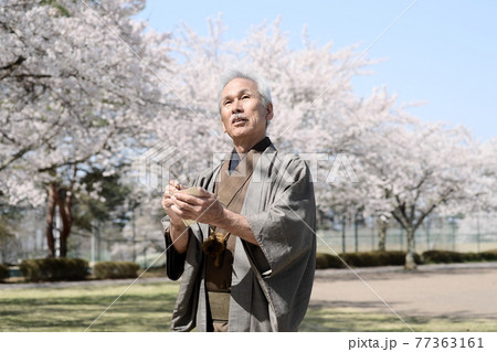 俳句を詠む、着物を着たシニア男性と満開の桜 俳句を詠む、着物を着たシニア男性と満開の桜 77363161