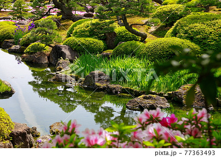 日本庭園の春 77363493