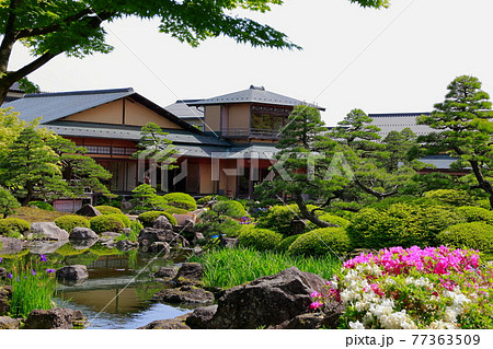 日本庭園の春 77363509