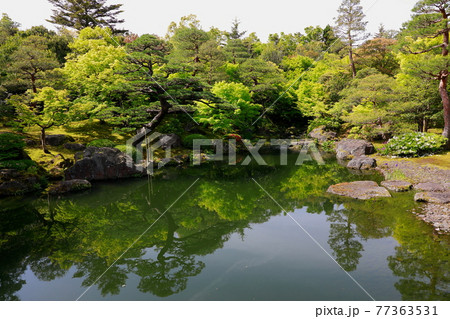 日本庭園 日本庭園 77363531