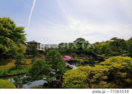 日本庭園 77363539
