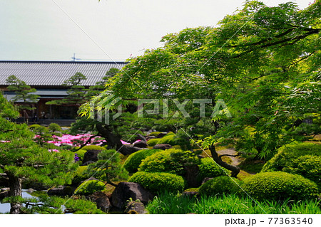 日本庭園 日本庭園 77363540
