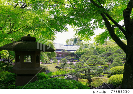 日本庭園 日本庭園 77363550