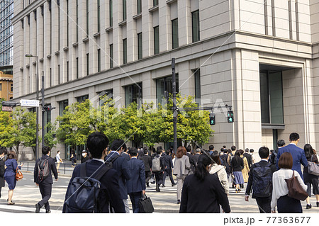 通勤するビジネマンたちの後ろ姿 77363677