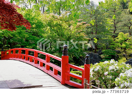 日本庭園の橋 日本庭園の橋 77363719
