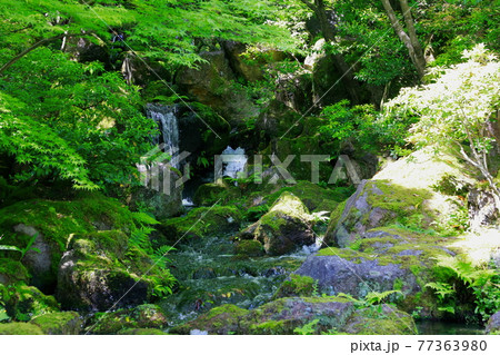 日本庭園 日本庭園 77363980