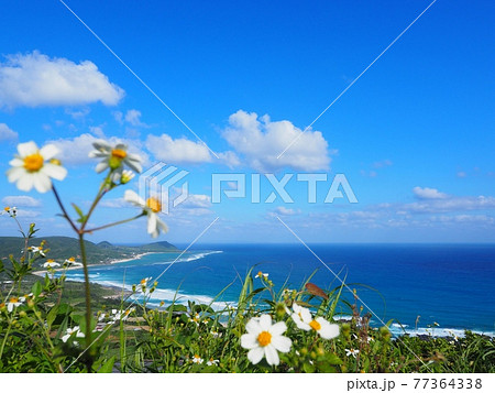 奄美大島、用安を望む絶景 77364338