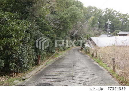 田舎道 田舎道 77364386