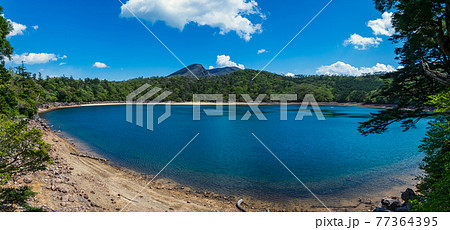 新緑のえびの高原_標高1200mにある自然豊かな美しい高原_韓国岳や池めぐり自然探勝路、甑岳など霧島 新緑のえびの高原_標高1200mにある自然豊かな美しい高原_韓国岳や池めぐり自然探勝路、甑岳など霧島 77364395