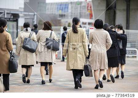 就職活動する女子学生の後ろ姿 77364519
