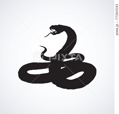 Snake. Vector drawing 77364593