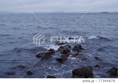 常滑の海　波と岩 77364678