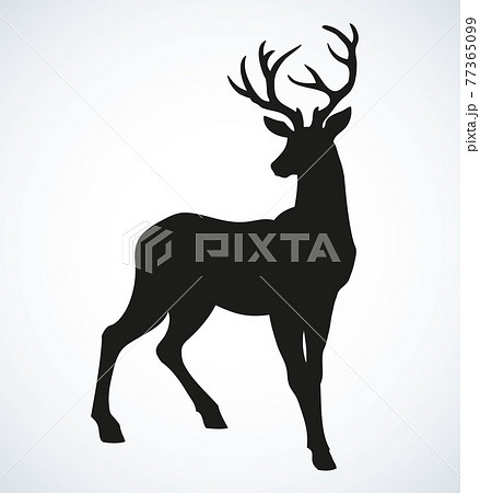 young deer antler silhouette