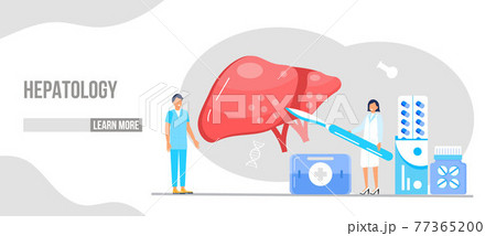 Hepatology concept vector for medical website, landing page. Concept of hepatitis A, B, C, D, cirrhosis, world hepatitis day. Tiny doctors treat liver. 77365200