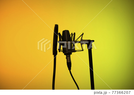 Voiceover studio microphone Voiceover studio microphone 77366207