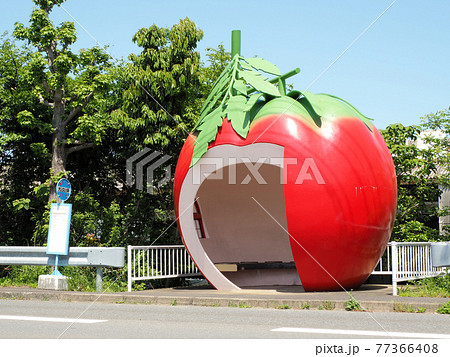 フルーツバス停 大久保 とまと 長崎県諫早市小長井町国道207号線 フルーツバス停 大久保 とまと 長崎県諫早市小長井町国道207号線 77366408