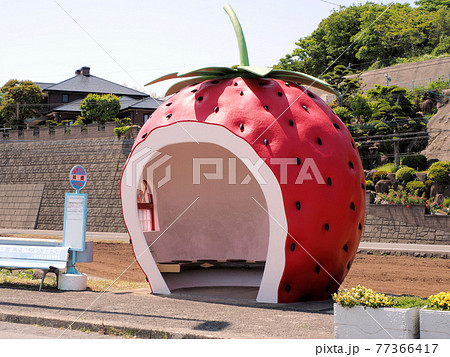 フルーツバス停　井崎　いちご　長崎県諫早市小長井町国道207号線 77366417