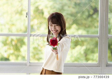 1輪の薔薇を窓辺で前に差し出す若い女性 1輪の薔薇を窓辺で前に差し出す若い女性 77366439